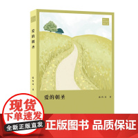 爱的朝圣 张传奇著 青年文学粤军丛书 探讨爱情、婚姻、家庭以及人性的长篇小说 花城出版社