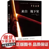 来自地下室 (德)德克·科布维特(Dirk Kurbjuweit) 著 程麒 译 外国科幻,侦探小说 文学 百花洲文艺出