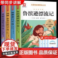 全套4册鲁滨逊漂流记原著完整版六年级下册必读正版书目快乐读书吧课外书爱丽丝漫游奇境梦游仙境尼尔斯骑鹅旅行记汤姆索亚历险记