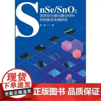 SnSe/SnO2异质结光催化复合材料的制备及性能研究