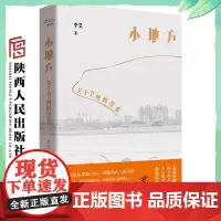 小地方 关于空间的漫游 李昊(著) 从霍尔果斯口岸到敕勒川上的小镇 从沉入南海的海鲜坊到豫南村庄的葬礼 陕西人民出版社