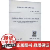 市政基础设施项目全过程工程咨询指南 T/CMEA 53-2024 中国市政工程协会 建筑/水利(新)专业科技 正版图书籍