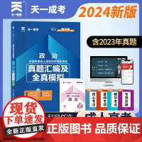 2024成考试卷[专升本]:政治