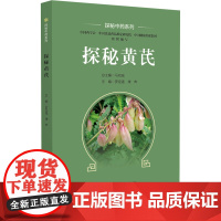 探秘中药系列 探秘黄芪