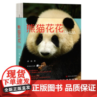 熊猫花花 写熊猫花花的家族和花花成长历程附有丰富的熊猫知识科普 大熊猫的生物学特点和生活习性熊猫科普书动物