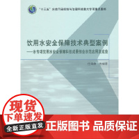 饮用水安全保障技术典型案例