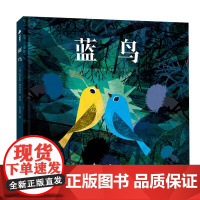 蓝鸟绘本 3-6岁儿童心理绘本:我们既可以克服困境,走出悲伤,也可以成为照亮别人的那道光