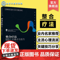 正版 心理咨询与治疗100个关键点译丛 整合疗法 100个关键点与技巧 心理咨询师心理问题诊断治疗康复技术书籍心理学咨询