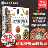 世界上不可思议的果实种子图鉴 小林智洋无穷小亮 赠蒲公英项链300张高精图片 画报级亚光铜版纸圆脊精装 自然爱好者
