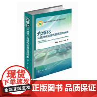 光催化:环境净化与绿色能源应用探索 朱永法 姚文清 宗瑞隆 光催化 环境净化 绿色能源 纳米材料 应用化学 课外读物 光