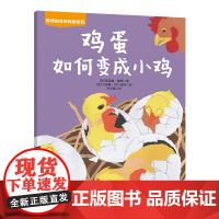 鸡蛋如何变成小鸡
