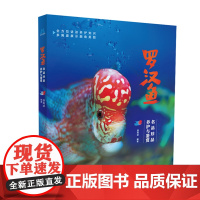 罗汉鱼名品珍品养护与鉴赏 胡南波 水族箱观赏鱼饲养繁殖书籍鱼缸宠物养鱼图书 罗汉鱼书籍热带观赏鱼饲养繁殖治疗图书图鉴