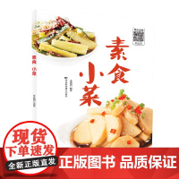 素食小菜脂全蔬食 健康素食营养搭配书菜谱大全素食斋菜菜谱家常素食菜谱食谱 养生菜谱书籍