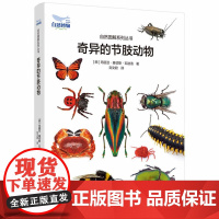 奇异的节肢动物 寻找这些躲在角落里、灌木丛中、岩石底下的生命力旺盛的小精灵,千奇百怪的动物世界会给你惊喜!