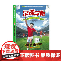 下架-神秘岛 “足球学院”绿茵少年小说系列 神奇队长的新生