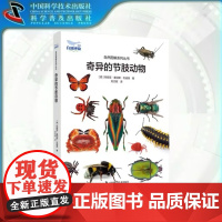 出版社自营]奇异的节肢动物 6-12岁儿童 自然博物科普书博物学百科全书昆虫虫类大百科全书昆虫科普书虫子王国虫类儿童科普