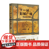 下一站,彭城广场(网络小说“校长”的全新“现实主义先锋网文”?都市新传奇??时空蒙太奇)