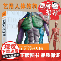 艺用人体结构 全彩精装 黄朝贵哥翻译艺术设计书籍全彩设计书插画路米斯素描教程理解人体形态想象力构图与创作思维色彩与光线