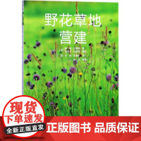 野花草地营建 (英)帕姆·刘易斯(Pam Lewis) 著;王荷,李旻,吴春水 译 建筑/水利(新)专业科技 正版图书籍