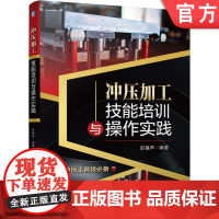 正版 冲压加工技能培训与操作实践 彭建声 生产类型 工装 设备 专用模具 常用夹具 手工工具 加工精度 表面质量 锯