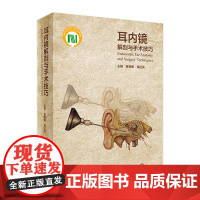 耳内镜解剖与手术技巧 杨海弟郑亿庆中耳解剖外科手术图谱鼓膜穿孔中耳炎耳鼻咽喉头颈外科经外耳道耳内镜手术学人民卫生出版社
