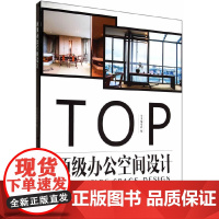 办公空间设计(亚太名家设计系列)