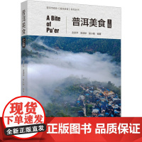 普洱美食:土味 左永平,宫润华,程小敏 编 饮食文化书籍生活 正版图书籍 中国轻工业出版社