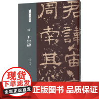 名碑名帖经典 汉 尹宙碑 洪亮 编 书法/篆刻/字帖书籍艺术 正版图书籍 天津人民美术出版社