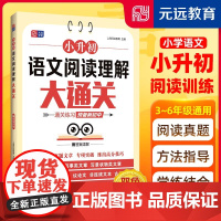 元远学堂 小升初语文阅读理解大通关 小学语文总复习 三四五六年级语文专项训练 通关练习 预备新初中 元远教育 同济大学出