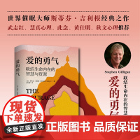[海南出版社]爱的勇气:联结生命内在的智慧与资源 武志红等人强烈 斯蒂芬·吉利根阐释自我关系身心治疗法的经典之作心理学