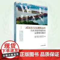 武汉市大东湖核心区污水深层传输系统运营管控要点 9787511159199