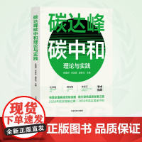 碳达峰碳中和理论与实践 9787511152947