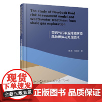 页岩气压裂返排液环境风险模拟与处理技术(英文版) 鱼涛、马岚婷 著 著 石油 天然气工业专业科技 正版图书籍
