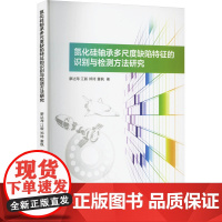 氮化硅轴承多尺度缺陷特征的识别与检测方法研究 廖达海 等 著 机械工程专业科技 正版图书籍 中国纺织出版社有限公司