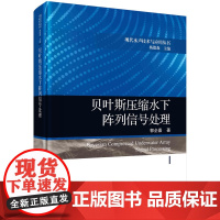 贝叶斯压缩水下阵列信号处理 预计发货05.07