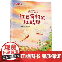 红草莓村的红蜻蜓 北京联合出版公司 冰波 著 李玲 绘 儿童文学 儿童文学