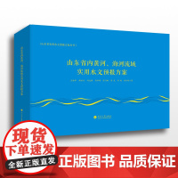山东省内黄河、海河流域实用水文预报方案