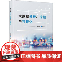 大数据分析、挖掘与可视化 万念斌 工业技术书籍正版