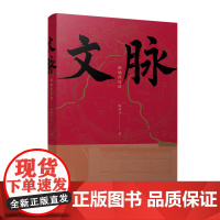 文脉:桐城凤仪坊 陶善才 复旦大学出版社 桐城-文化-历史