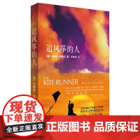 追风筝的人 胡塞尼作品集 现当代文学书籍