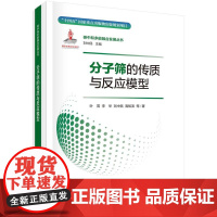 分子筛的传质与反应模型 叶茂等 科学出版社9787508865010