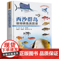 西沙群岛珊瑚礁鱼类图谱 王腾 南海岛礁渔业资源丛书 西沙群岛七连屿珊瑚礁鱼类图谱 西沙群岛渔业资源保护利用图鉴