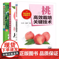 桃树种植技术 桃高效栽培关键技术 图解桃树整形修剪从入门到精通桃病虫害绿色防控彩色图谱 桃树管理技术 桃树修剪书籍