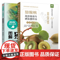 猕猴桃高效栽培与病虫害防治彩色图谱+图解猕猴桃整形修剪与栽培月历 猕猴桃种植技术大全 猕猴桃栽培技术书籍