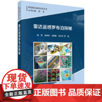 雷达遥感罗布泊探秘