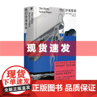 书 他们涉海而来 爱尔兰奥德丽马吉著 一则映射古今殖民暴行的政治寓言 广西师范大学出版社