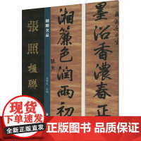 楹联名品 张照楹联 孙宝文 编 艺术 美术作品 书法/篆刻/字帖书籍 正版图书籍湖南美术出版社