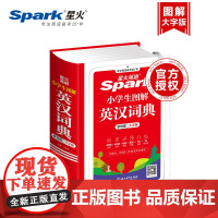 小学生图解英汉词典 多功能大字版2024