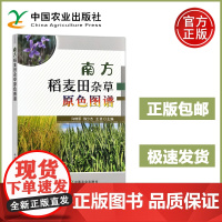 南方稻麦田杂草原色图谱 许燎原 陈少杰 王笑 稻麦田除草、除草剂药效试验、田间杂草调查 农业