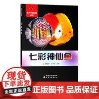 七彩神仙鱼(家养观赏鱼系列) 观赏鱼类 养殖 30490